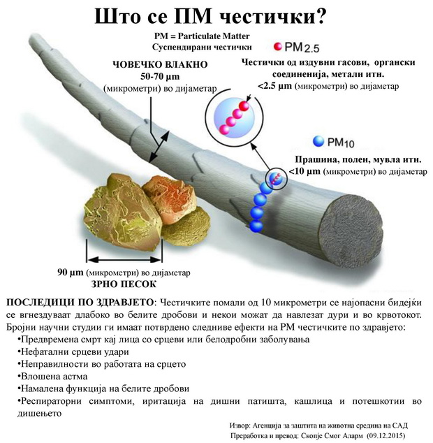 pm-chestichki-infografik