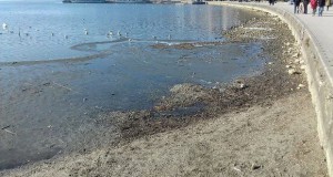 Нивото на водата во езерото се пониско