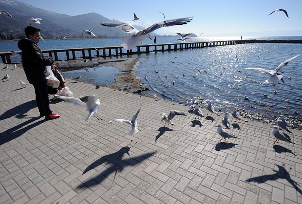 OHRID (12)