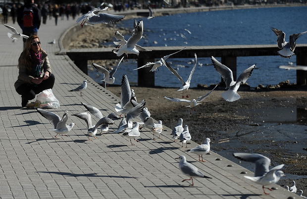 OHRID (4)