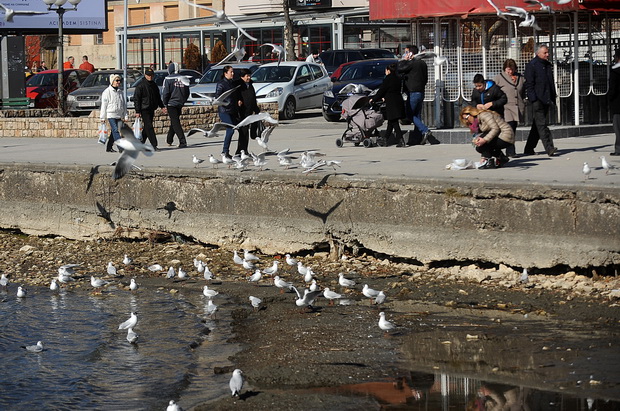 OHRID (5)