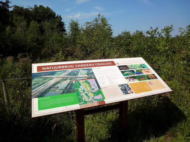 Zeleni mostovi holandija1
