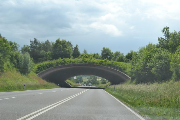 Zeleni mostovi holandija3