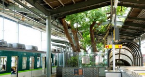 Железничкa станицa во Јапонија изградена околу 700 години старо дрво