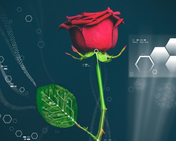Cyborg-Rose