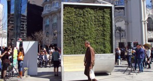 „City tree“ во Скопје
