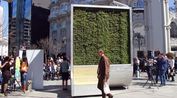 city tree vo skopje