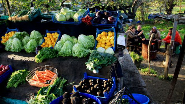 vegetables