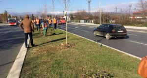 Општина Илинден во март со проектот „Со зеленило против загадувањето“