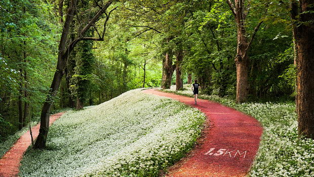Istanbul nov park1