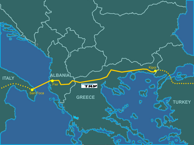 Italija maslinjaci vo opasnost4