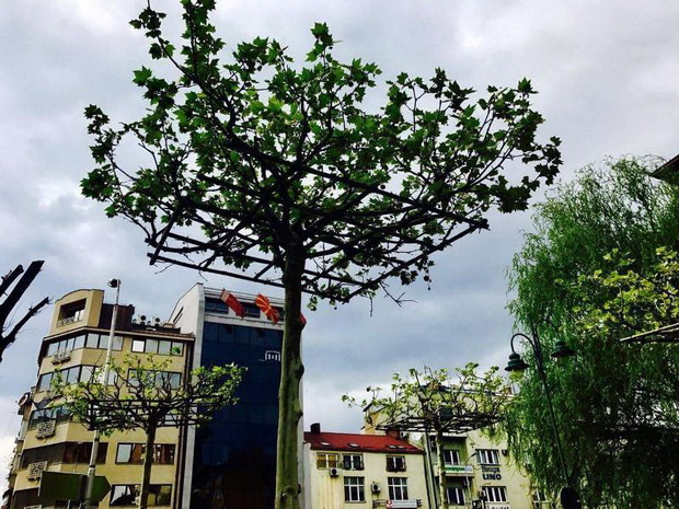 Mini park - Sv. Kliment Ohridski (5)