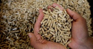 Во Могила ќе се произведуваат пелети од земјоделски отпад
