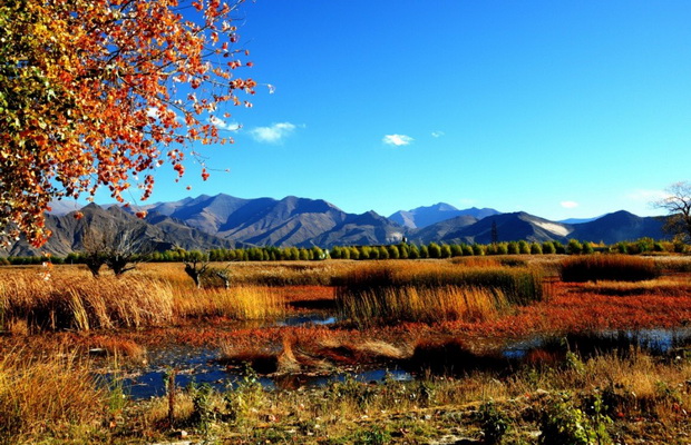 tibet_4