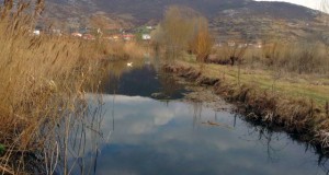 Студенчишко блато треба да се конзервира и заштити а не да има градежни активности