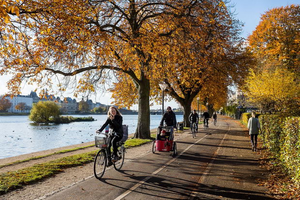 Kopenhagen sadi drva
