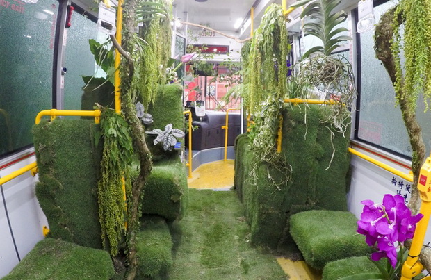 cveten bus_3