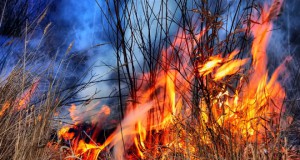 Повеќе пожари беснеат низ земјава