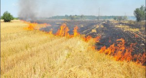 Во Македонија беснеат пожари, состојбата ќе се разгледува на владина седница