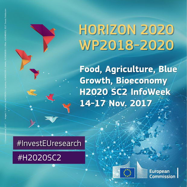 Programa horizon2020