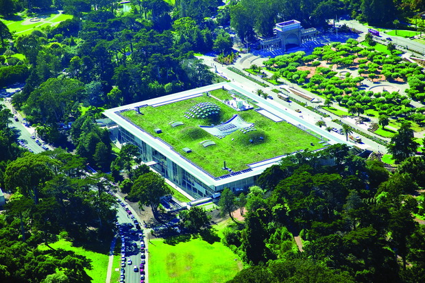 4a. California Academy of Sciences, San Francisko, SAD