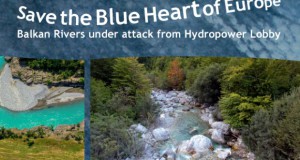 Бројните брани, закана за животната средина на Балканот – синото срце на Европа
