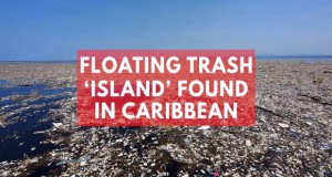 „Остров“ од ѓубре во Карипско море
