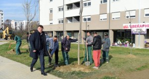 Почна есенската акција за садење дрвја низ Скопје