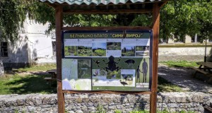Во подготовка е план за заштита на Белчишкото блато