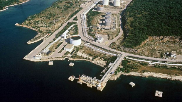 zelena akcija 3