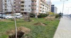 Град Скопје: Ќе реконструираме над 48.000 квадратни метри зеленило