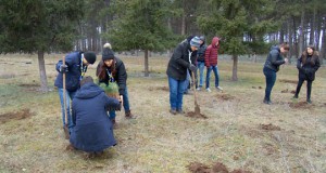 Акција за чистење околу Спомен Костурницата во Куманово