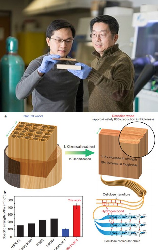 super-wood 2