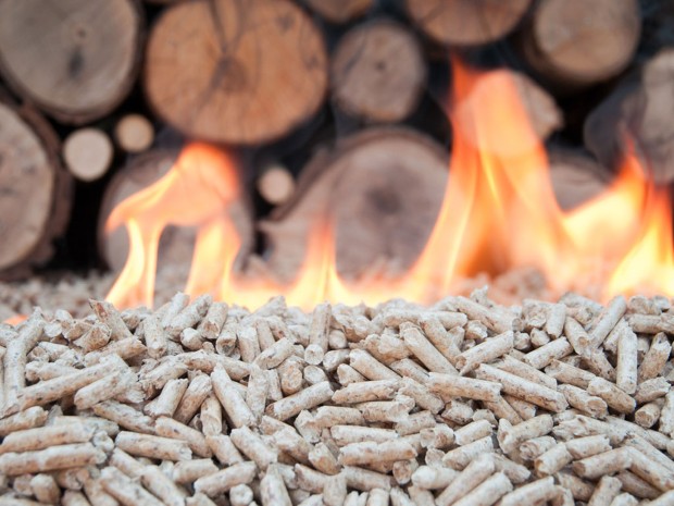 Serbia biomass 2