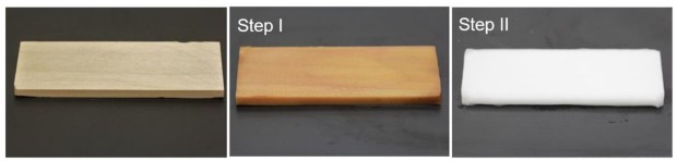 nanowood 3