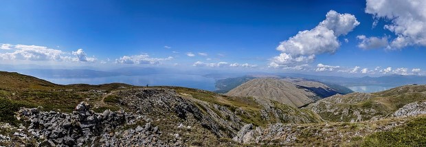 галичица