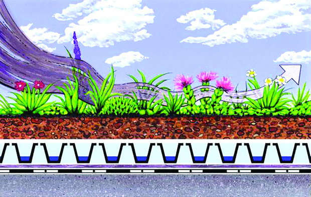 Ecological-Benefits-of-Green-Roofs2