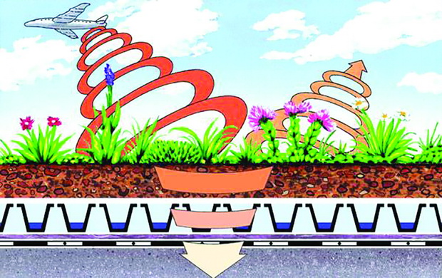 Ecological-Benefits-of-Green-Roofs3