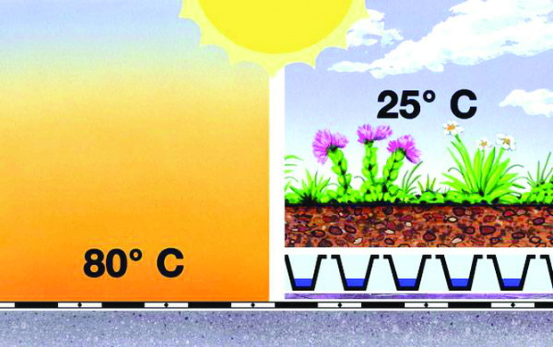 Ecological-Benefits-of-Green-Roofs5