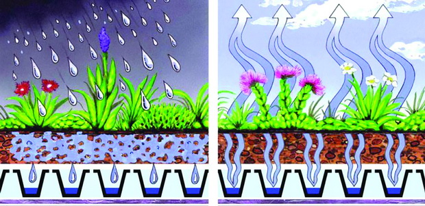 Ecological-Benefits-of-Green-Roofs7-800x388