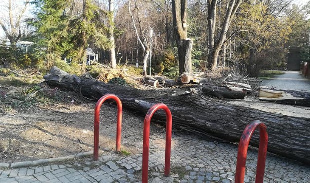 gradski-park