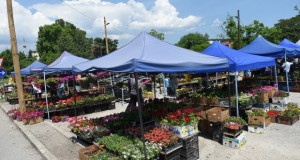 Скопје доби нов цветен пазар кај Поликлиниката „Бит-пазар“