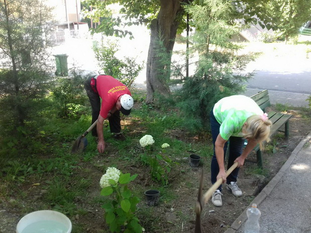 IMG-7ce68b97e6de3c04d54a94221ff91e39-V_resize
