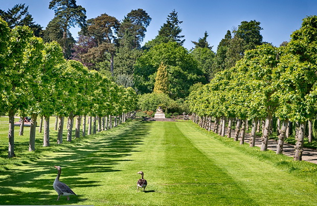 The gardens, Sandringham, Norfolk, England, UK