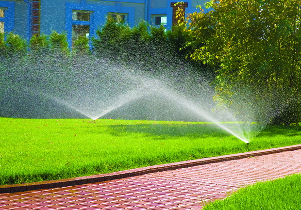 Sprinkler of automatic watering in garden