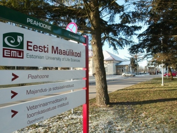 Estonia2