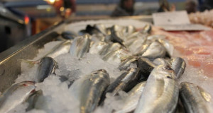 Европа ги исцрпи своите резерви на риба до крајот на годината