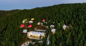 Луксузен камп во шумите на Јужна Кореа
