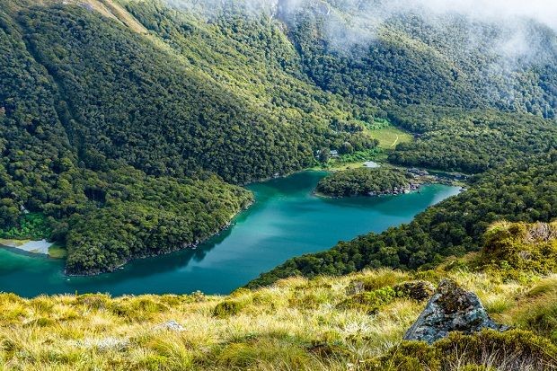 NZ1