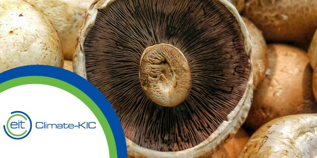 biomyc1